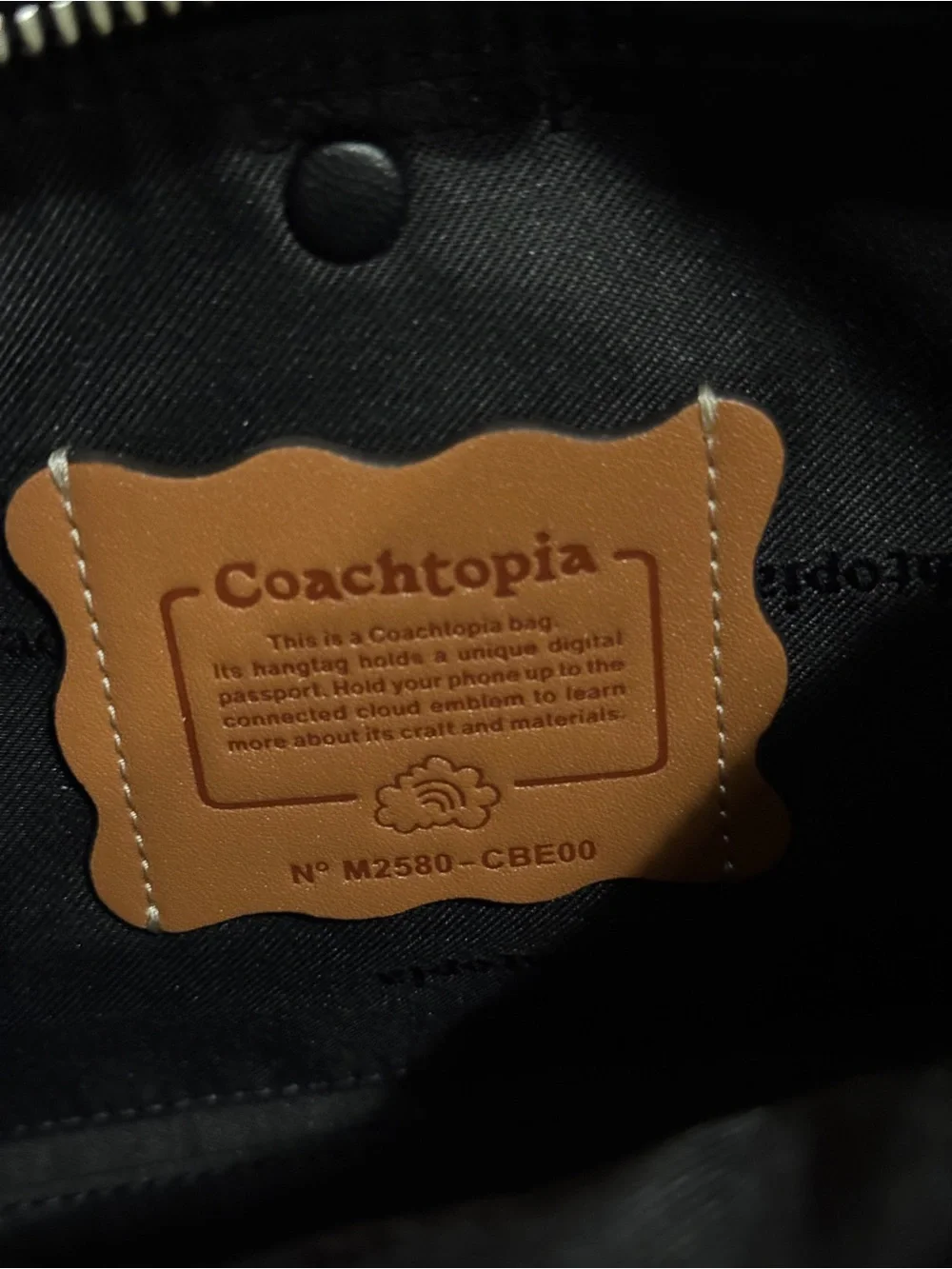 Coachtopia Alter Ego in Multicolor Patchwork Shoulder Bag
